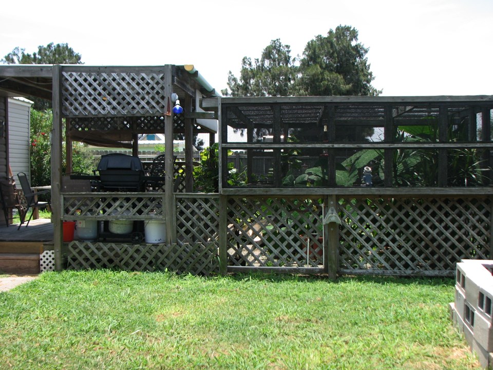 covered deck in the back yard